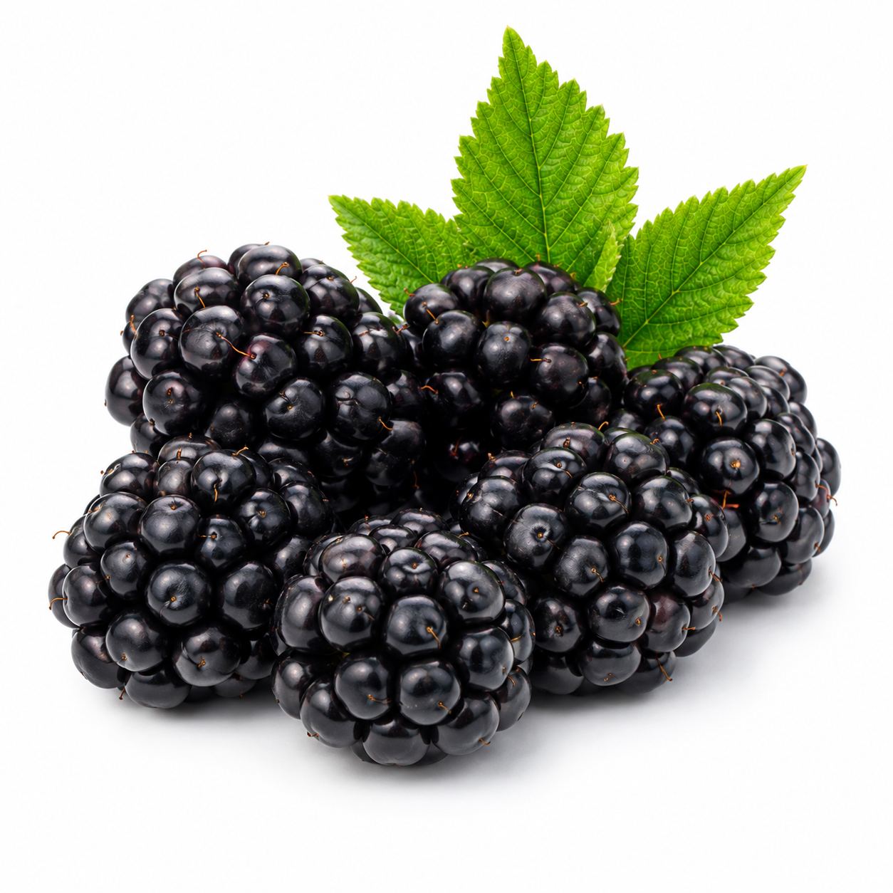 Blackberry